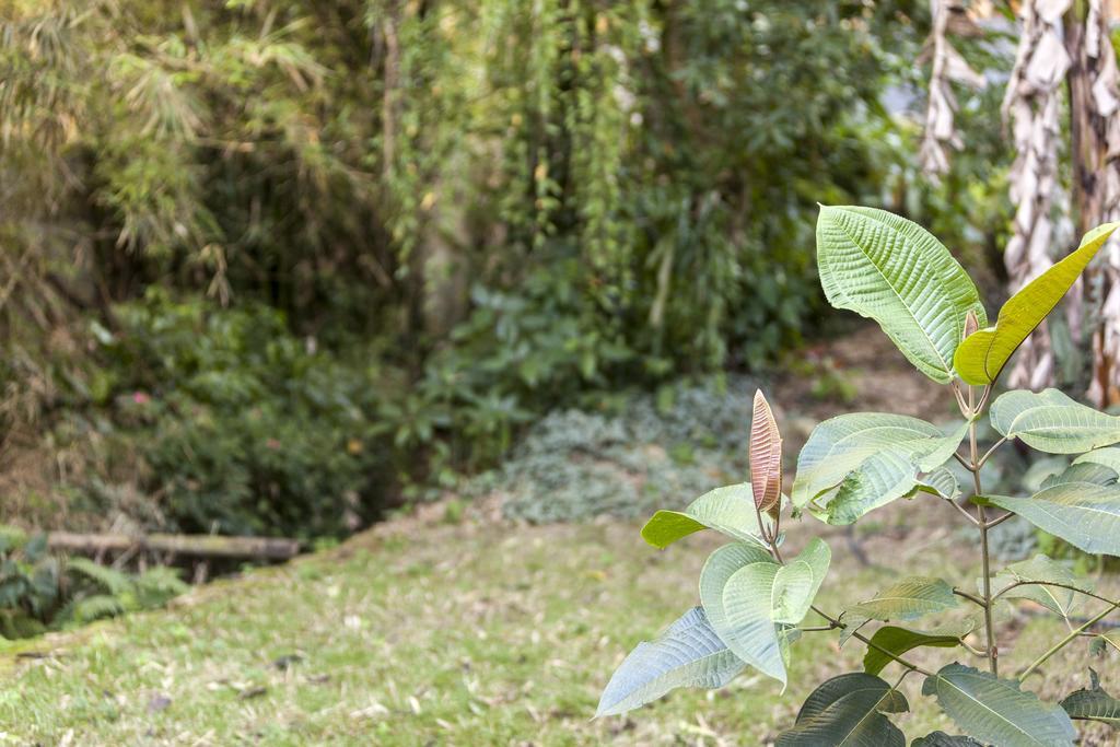 Pousada Quatro Estacoes Trindade  Dış mekan fotoğraf